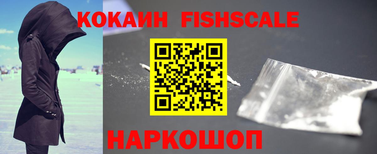 где купить наркоту  Вход с VPN  Елизово  COCAIN FishScale 