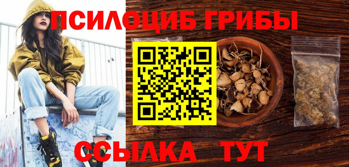 наркошоп  Псилоцибиновые грибы мицелий  Вход с VPN  Елизово 